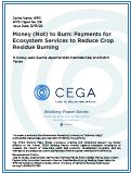 Cover page: Money (Not) to Burn: Payments for Ecosystem Services to Reduce Crop Residue Burning