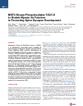 Cover page: MST3 kinase phosphorylates TAO1/2 to enable Myosin Va function in promoting spine synapse development.