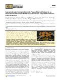 Cover page: Supramolecular Perylene Bisimide-Polysulfide Gel Networks as Nanostructured Redox Mediators in Dissolved Polysulfide Lithium–Sulfur Batteries