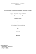 Cover page of Dissect Epigenetic Regulation in a High-Order Nucleosome Assembly