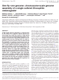 Cover page: One fly–one genome: chromosome-scale genome assembly of a single outbred Drosophila melanogaster