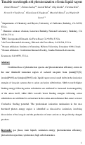 Cover page: Tunable wavelength soft photoionization of ionic liquid vapors