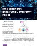 Cover page: Rebuilding Neurons: Neurogenesis in Regenerative Medicine