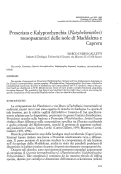 Cover page: Proseriata e Kalyptorhynchia (Platyhelminthes) mesopsammici delle isole di Maddalena e Caprera