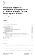 Cover page: Molecular, Enzymatic, and Cellular Characterization of Soluble Adenylyl Cyclase From Aquatic Animals