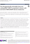 Cover page: The therapeutically actionable long non-coding RNA ‘T-RECS’ is essential to cancer cells’ survival in NRAS/MAPK-driven melanoma