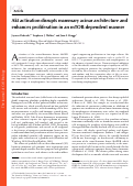 Cover page: Akt activation disrupts mammary acinar architecture and enhances proliferation in an mTOR-dependent manner