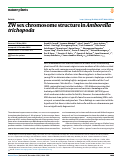 Cover page of ZW sex chromosome structure in Amborella trichopoda.