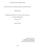 Cover page: Instruments of the Divine? Faith-Based Organizations in International Politics