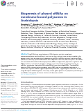 Cover page: Biogenesis of phased siRNAs on membrane-bound polysomes in Arabidopsis