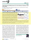 Cover page: Transcutaneous Flexible Sensor for In Vivo Photonic Detection of pH and Lactate