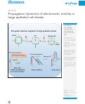 Cover page: Propagation dynamics of electrotactic motility in large epithelial cell sheets