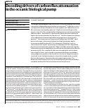 Cover page: Decoding drivers of carbon flux attenuation in the oceanic biological pump.