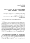 Cover page: A contribution to the phylogeny of the elephant shrews (Mammalia, Macroscelidea)