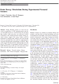 Cover page: Brain Energy Metabolism During Experimental Neonatal Seizures