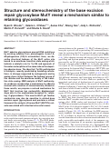 Cover page: Structure and stereochemistry of the base excision repair glycosylase MutY reveal a mechanism similar to retaining glycosidases