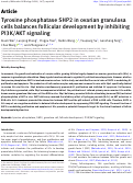 Cover page: Tyrosine phosphatase SHP2 in ovarian granulosa cells balances follicular development by inhibiting PI3K/AKT signaling.