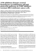 Cover page: ATR inhibition disrupts rewired homologous recombination and fork protection pathways in PARP inhibitor-resistant BRCA-deficient cancer cells