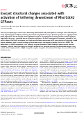 Cover page: Exocyst structural changes associated with activation of tethering downstream of Rho/Cdc42 GTPases