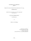 Cover page: Multiscale Stocashtic Volatility Models with Stochastic Leverage