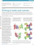Cover page: Channels: Sticking to nooks and crannies.