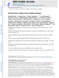 Cover page: Micronuclear collapse from oxidative damage.