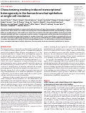 Cover page: Characterizing smoking-induced transcriptional heterogeneity in the human bronchial epithelium at single-cell resolution