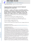 Cover page: Integrated platform for multiscale molecular imaging and phenotyping of the human brain.