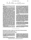 Cover page: REARRANGEMENTS OF 4-ALKYNYL-4-HYDROXY-3-METHYLENECYCLOBUTENE 4-ALKENYL-4-HYDROXY-3-METHYLENECYCLOBUTENE AND 4-ALKYL-4-HYDROXY-3-METHYLENECYCLOBUTENES