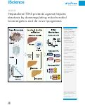 Cover page: Hepatokine ITIH3 protects against hepatic steatosis by downregulating mitochondrial bioenergetics and de novo lipogenesis.