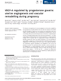 Cover page: VEGF‐A regulated by progesterone governs uterine angiogenesis and vascular remodelling during pregnancy