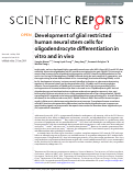 Cover page: Development of glial restricted human neural stem cells for oligodendrocyte differentiation in vitro and in vivo