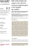 Cover page: Multi-modal imaging and analysis in the search for iron-based magnetoreceptors in the honeybee Apis mellifera