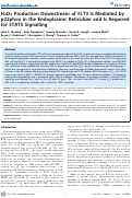 Cover page: H2O2 Production Downstream of FLT3 Is Mediated by p22phox in the Endoplasmic Reticulum and Is Required for STAT5 Signalling