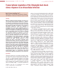 Cover page: In vivo analysis of Chlamydia stress response