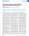 Cover page: A Twist between ROS and Sperm-Mediated Intergenerational Epigenetic Inheritance