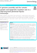 Cover page: A genome assembly and the somatic genetic and epigenetic mutation rate in a wild long-lived perennial Populus trichocarpa