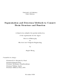 Cover page: Segmentation and Detection Methods to Connect Brain Structure and Function