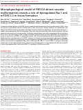 Cover page: Microphysiological model of PIK3CA-driven vascular malformations reveals a role of dysregulated Rac1 and mTORC1/2 in lesion formation