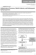 Cover page: Inflammatory Processes, Febrile Seizures, and Subsequent Epileptogenesis