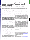 Cover page: ECM microenvironment regulates collective migration and local dissemination in normal and malignant mammary epithelium