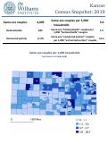 Cover page of Kansas Census Snapshot: 2010