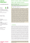 Cover page: Nutrient-sensitive protein O-GlcNAcylation shapes daily biological rhythms