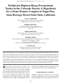 Cover page: Prehistoric Bighorn Sheep Procurement Tactics in the Colorado Desert: A Hypothesis for a Stone-Feature Complex in Yaqui Pass, Anza-Borrego Desert State Park, California