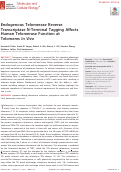 Cover page: Endogenous Telomerase Reverse Transcriptase N-Terminal Tagging Affects Human Telomerase Function at Telomeres In Vivo