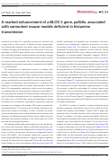 Cover page: A marked enhancement of a BLOC‐1 gene, pallidin, associated with somnolent mouse models deficient in histamine transmission