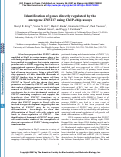 Cover page: Identification of Genes Directly Regulated by the Oncogene ZNF217 Using Chromatin Immunoprecipitation (ChIP)-Chip Assays*