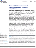 Cover page: Glucose inhibits cardiac muscle maturation through nucleotide biosynthesis