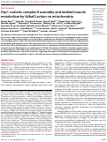 Cover page: Drp1 controls complex II assembly and skeletal muscle metabolism by Sdhaf2 action on mitochondria