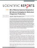 Cover page: M1 of Murine Gamma-Herpesvirus 68 Induces Endoplasmic Reticulum Chaperone Production